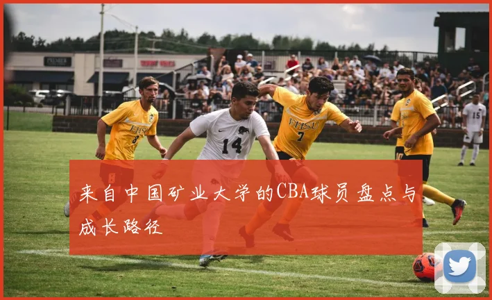 来自中国矿业大学的CBA球员盘点与成长路径