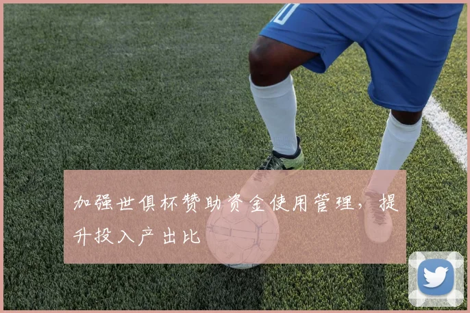 加强世俱杯赞助资金使用管理，提升投入产出比